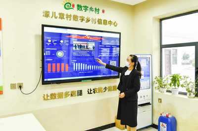 数字赋能淇滨 网络技术服务驱动乡村振兴新篇章